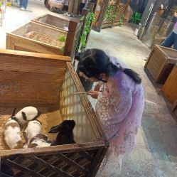 -酷嗒动物文化乐园(cutezoo西溪乐天城店)