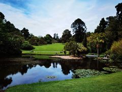 -墨尔本皇家植物园