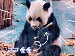 -安吉竹博园