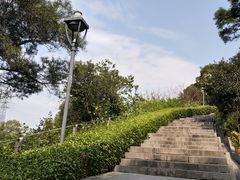 -金鸡山公园