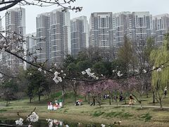 -堤角公园
