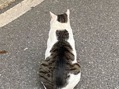 -麦当劳(时间广场店)