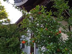 -浙江农林大学(东湖校区)
