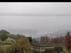 -金海湾滨江公园