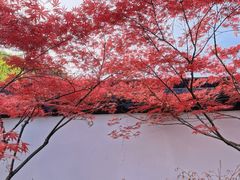 -苏州上方山国家森林公园