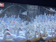 -斯丹姜母鸭·古法干香(泉州总店)