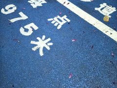 -天河体育中心