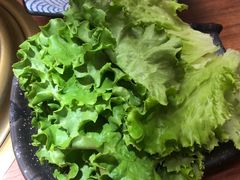 生菜拼盘-鹤汀居酒屋•家庭料理•烧鸟酒肆(新街口店)