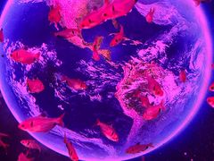 -正佳极地海洋世界