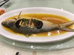 清蒸鲥鱼-圆苑(上海广场店)