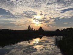 -合肥滨湖国家森林公园