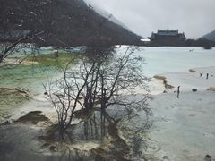-黄龙山原始森林景区