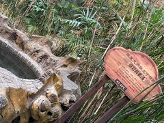 -龙达温泉生态城