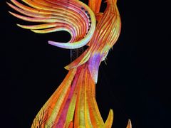 -淄博花灯齐彩城