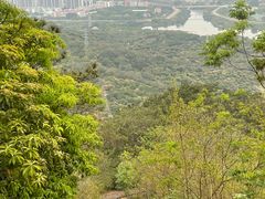 -风云岭森林公园