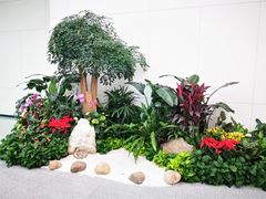 -福州长乐国际机场