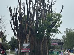 -赵州桥景区