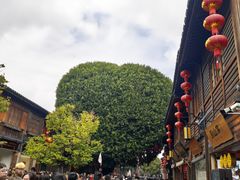 -三坊七巷历史文化街区