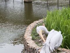 -无锡动物园·太湖欢乐园