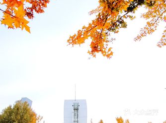 运河文化广场的秋天色彩斑斓，五彩绚丽，人们尽情的享受