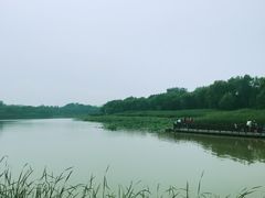 -北京麋鹿生态实验中心