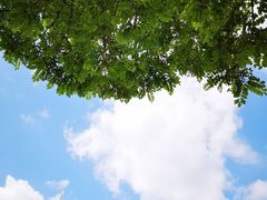 -谷物市场