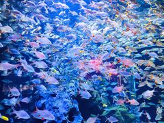 -成都浩海立方海洋公园