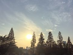 -明故宫遗址公园