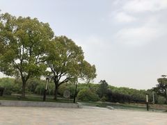 -上海佘山世茂艾美酒店