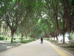 -南宁南湖公园