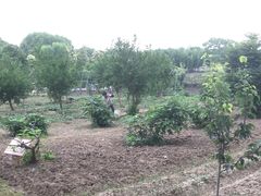 -太阳岛度假酒店