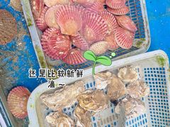 海鲜大咖-海帮主·蒸汽海鲜青岛菜(栈桥火车站店)