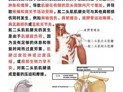 -Dr.stretch·拉伸博士(环球金融中心店)