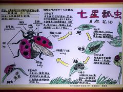 -上海昆虫博物馆