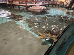 -台州海洋世界