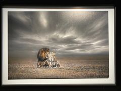 -罗红摄影艺术馆