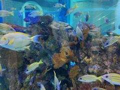 -成都浩海立方海洋公园