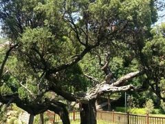 android_upload_pic-草庵摩尼教遗址公园