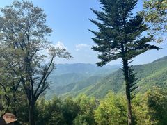 -莫干山风景区
