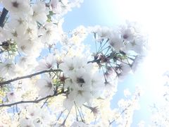 -苏州河梦清园环保主题公园