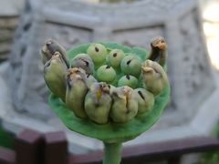 -湘子庙