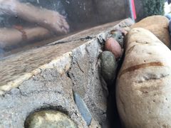 国御温泉度假小镇-国御温泉度假小镇