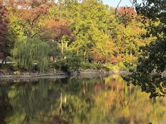 -灵谷景区