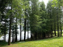 -松山湖风景区松湖烟雨