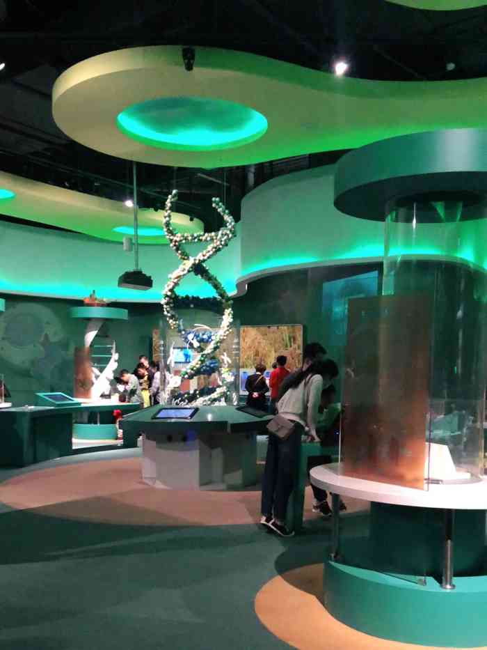 无锡科技馆-"今天组织小朋友们参加无锡博物馆3个场馆游.