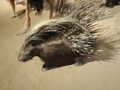 -陕西自然博物馆