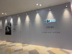 -鹏欣水游城