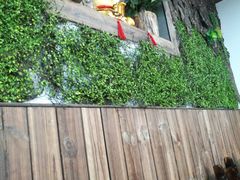 -阿娇魏道(傣味小吃普洱特色店)