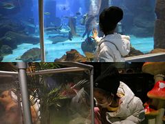-石家庄海洋公园