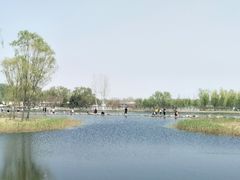 -大兴滨河森林公园